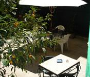 Appartements à Rome Italie, San Pietro zone | Photo de l'appartement Giorgia (Max 4 Personnes)